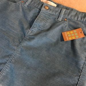 Title Nine Blue Corduroy Skirt -- New
